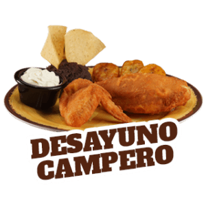 06DescargarApp