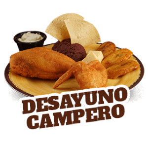06DescargarAppSV